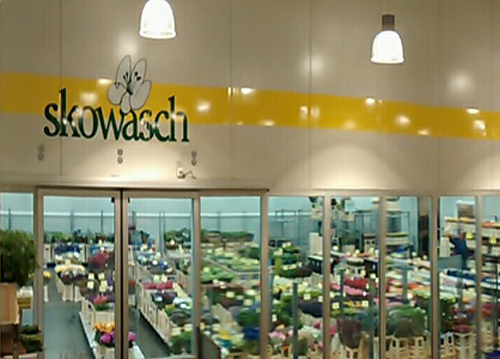 P.Skowasch Blumengroßhandel-Import P.Skowasch Blumengroßhandel-Import